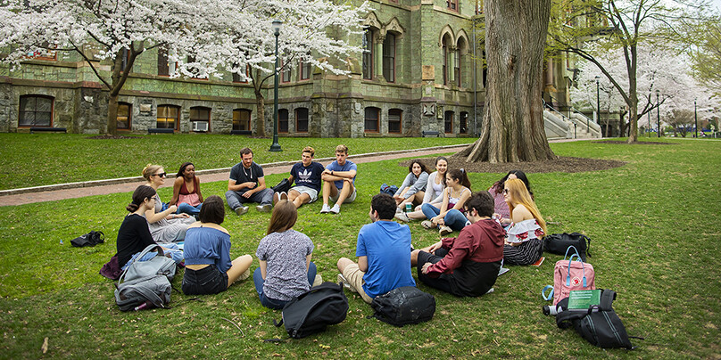 students sitting on campus green under a tree